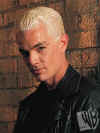 spike000.jpg (58118 bytes)
