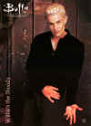 spike006.jpg (63707 bytes)