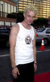 spike044.jpg (22351 bytes)