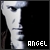 Angel Fan