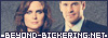 Booth & Brennan from the TV show 'Bones' - English