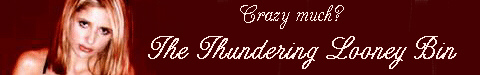 Click to Enter the Thundering Looney Bin