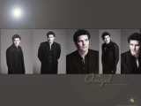 [made by Michelle]
