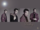 [made by Michelle]