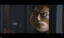 PDVD_382.jpg