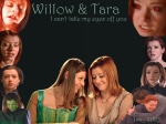S6 Willow Tara 2eme version
