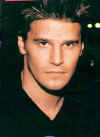 davidboreanaz_public_093.jpg (31045 byte)