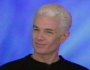 James Marsters on Hollywood Squares