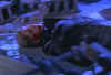 buffy710b.jpg (19960 bytes)