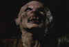 elvampiro709a.jpg (10856 bytes)