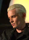 spike708a1.jpg (48393 bytes)