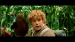 LotR_FotR0832.jpg