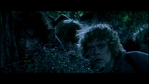 LotR_FotR0908.jpg