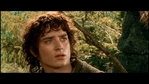 LotR_FotR3709.jpg