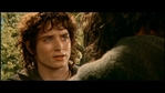 LotR_FotR3719.jpg