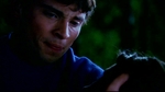 smallville210_630.jpg