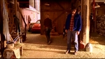 smallville310_288.jpg