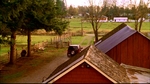 smallville310_701.jpg