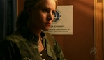 veronicamars220_265.jpg