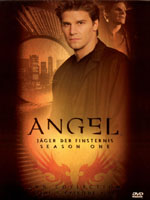 Angel - Jger der Finsternis - Season One DVD Collection Box 1
