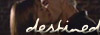 Destined - FanFiction by PSUbrat