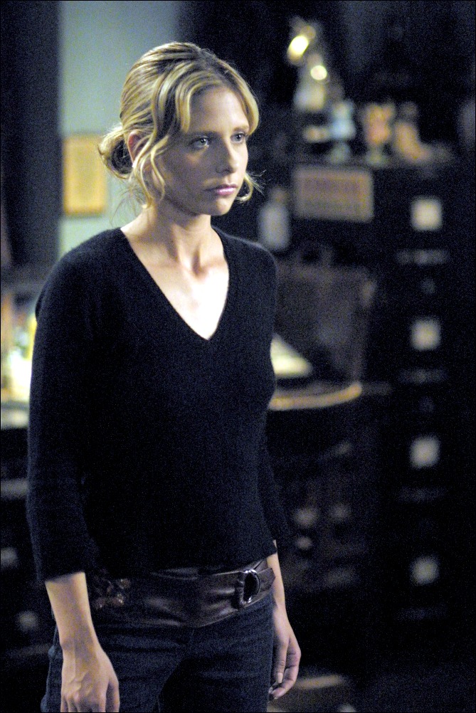 s6 Buffy b6x22 02-XL