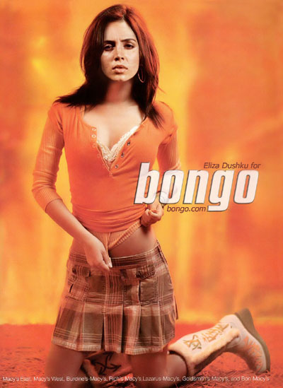 bongo