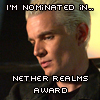 Nether Realms Award