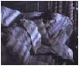 BtVS Season 6 - Dead Things